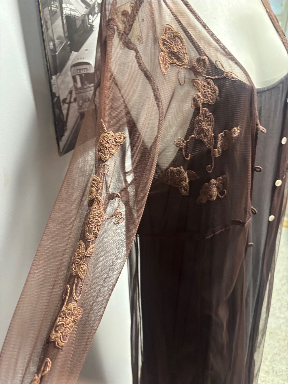 April Cornell Brown Sheer Embroidered Long Robe with Slip - Picture 3 of 7